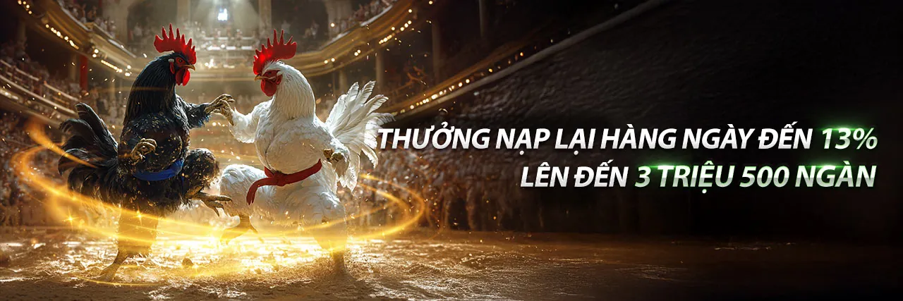 Banner khuyến mãi rikvip web